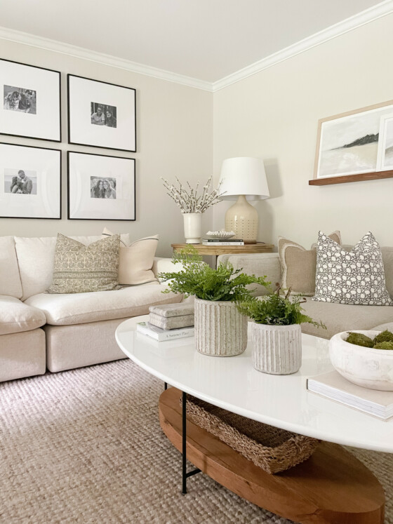 July’s Favorite Home Finds