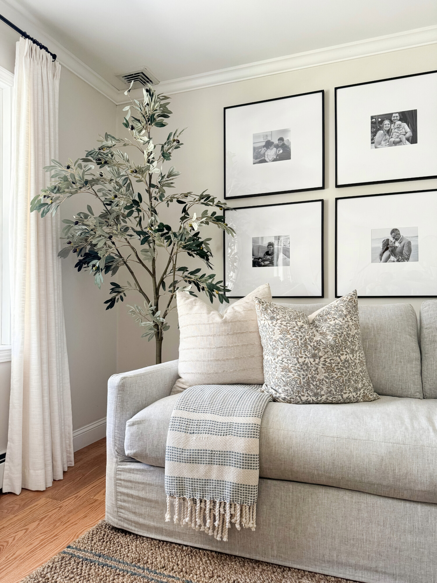 grey sofa with coastal accents and faux plant