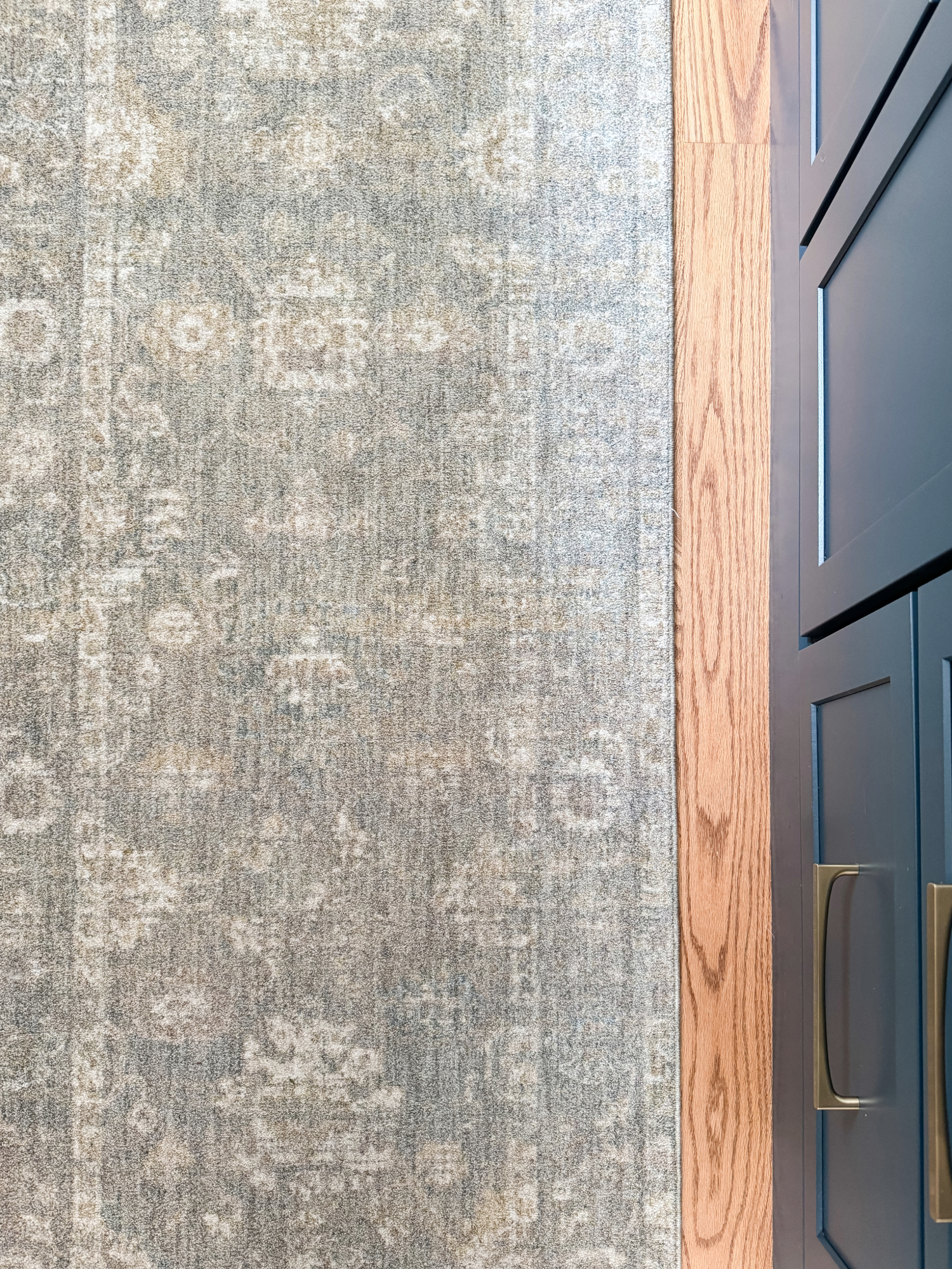 Neutral coastal area rug with subtle pattern styled over hardwood floors. Amazon Prime Day rug and home decor deals.
